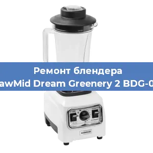 Замена щеток на блендере RawMid Dream Greenery 2 BDG-03 в Санкт-Петербурге